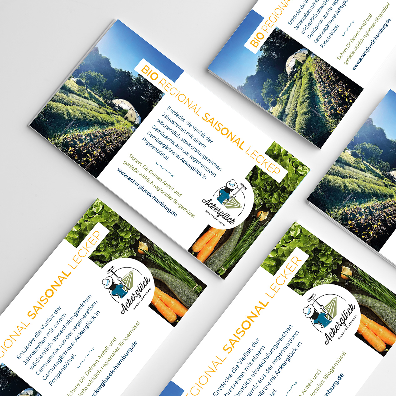flyergrafik design regional hamburg Postkarten design