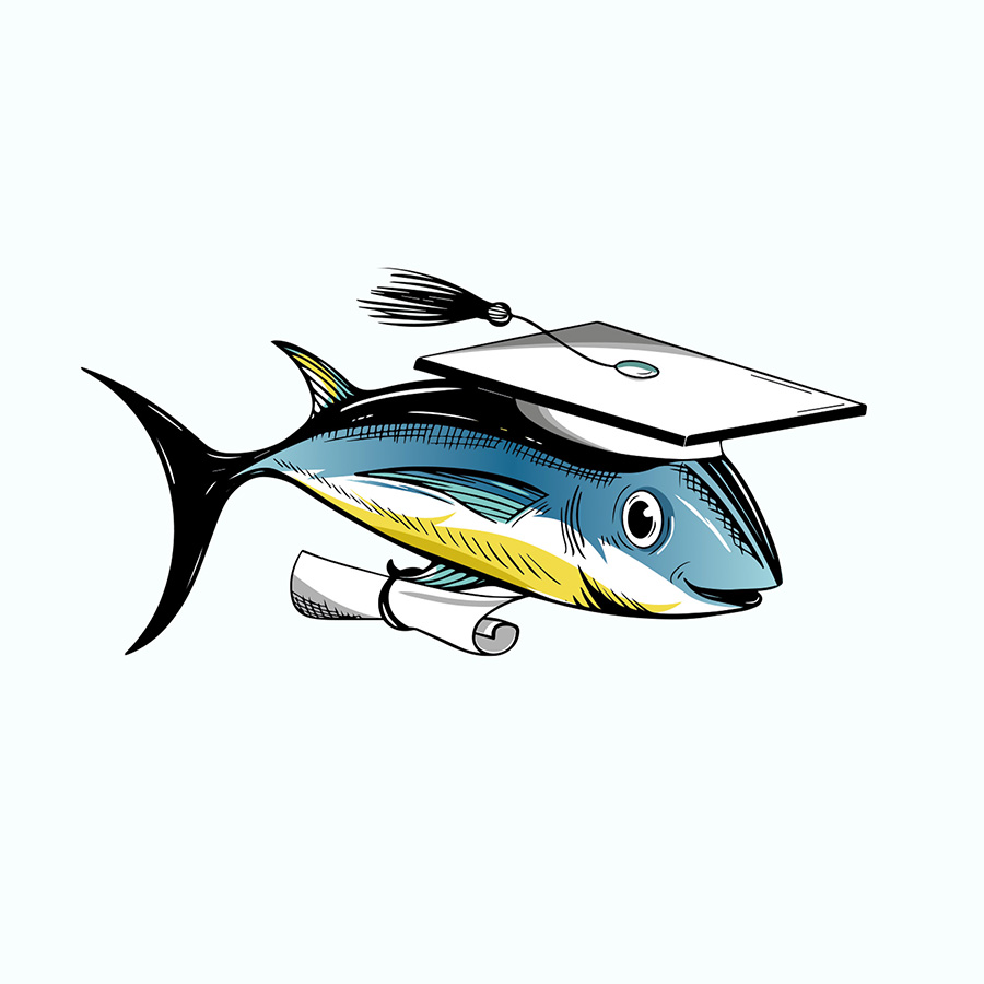 header fisch illustration hamburg